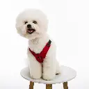 4.19.2019-Gooby84019_red.webp