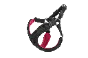 0180_Sport_bk.webp