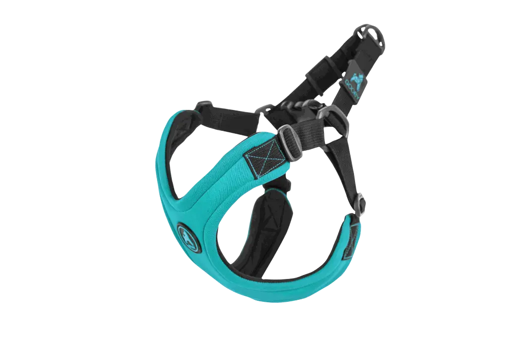 0180_Sport_Turquoise.webp
