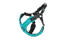 0180_Sport_Turquoise.webp