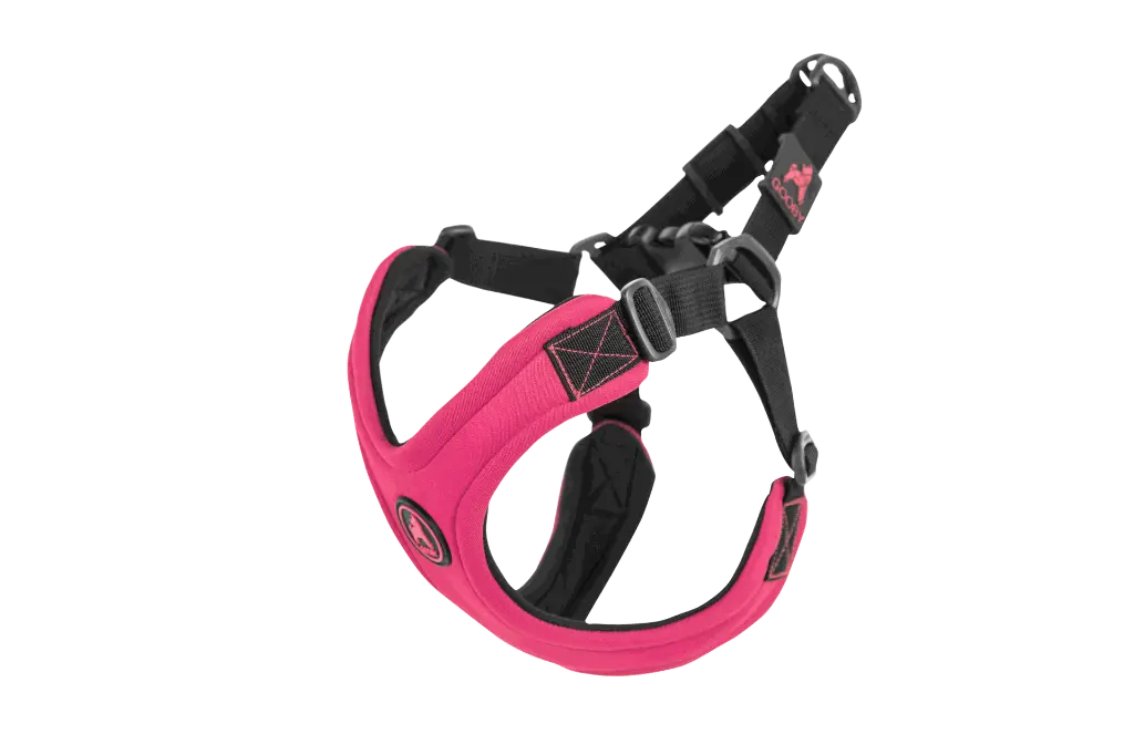 0180_Sport_pk.webp