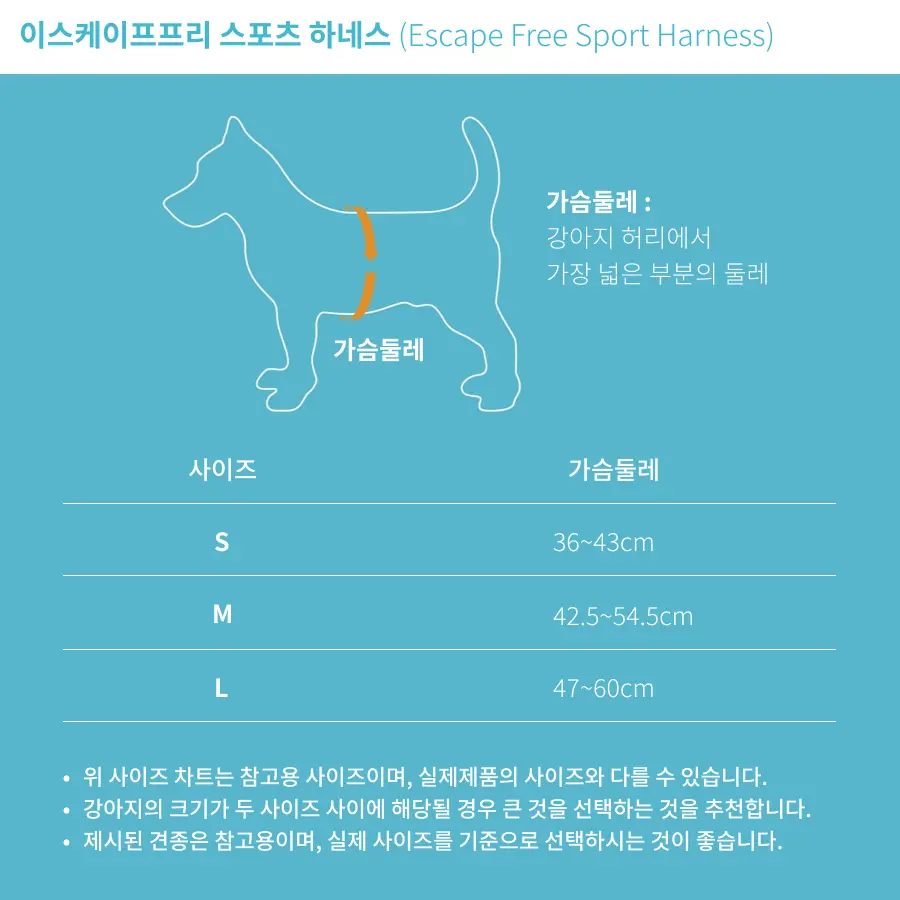 Sizing_Sports.webp