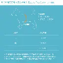 Sizing_Sports.webp