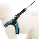 bichon-wearing-turquoise-escape-free-easy-fit-harness-side-view-1024x1024.webp
