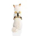 gooby-office-dog-loki-a-shiba-inu-wearing-yellow-lite-gear-z-harness-sitting-down-back-.webp