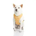 gooby-office-dog-loki-a-shiba-inu-wearing-yellow-lite-gear-z-harness-sitting-down-front.webp