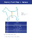 gooby-memory-foam-step-in-harness-size-chart-600x738px.webp