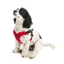 하네스 이스케이프프리 스포츠 