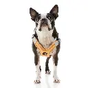 하네스 스텝인 메모리폼